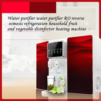 Vodni čistilec vode čistilec RO povratne osmoze gospodinjski hlajenje sadja in zelenjave disinfector ogrevanje stroj